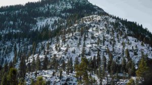 Read more about the article Winter Crisis Grips Afghanistan